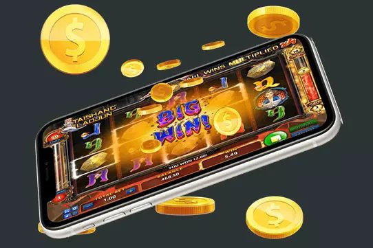 7555bd